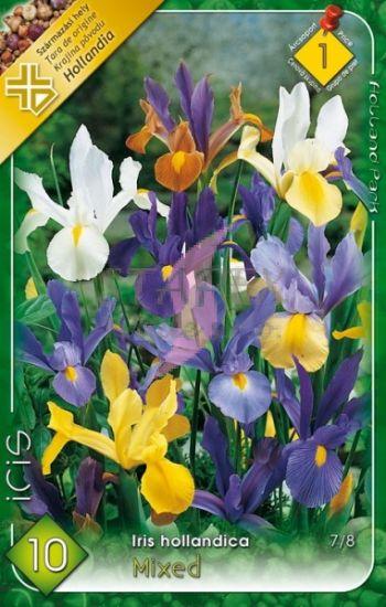 Iris hollandica MIX/10ks