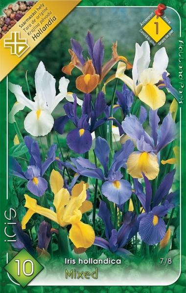 Iris hollandica MIX/10 ks