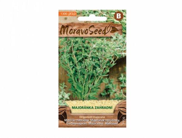 Majorán záhradný 0,5g (1300 semien)
