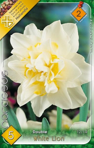 Narcissus Double White Lion/5 ks