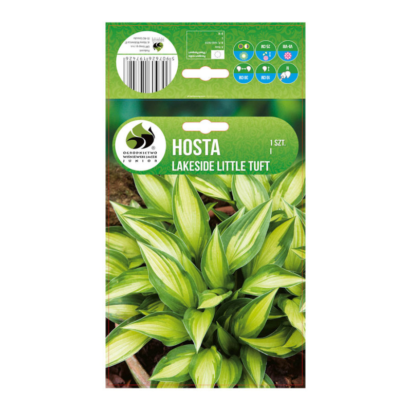Hosta Lakeside Little Tuft/1 ks
