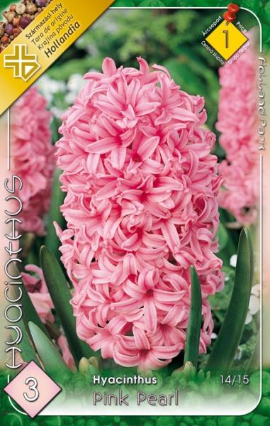 Hyacinthus Pink Pearl/3 ks