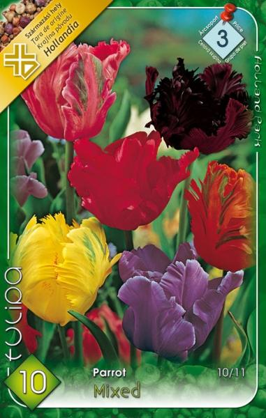 Tulipa Parrot MIX/10 ks