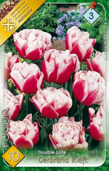 Tulipa Double Late Gerbrand Kieft/10 ks