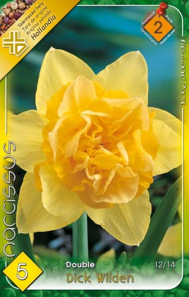 Narcissus Double Dick Wilden/5 ks
