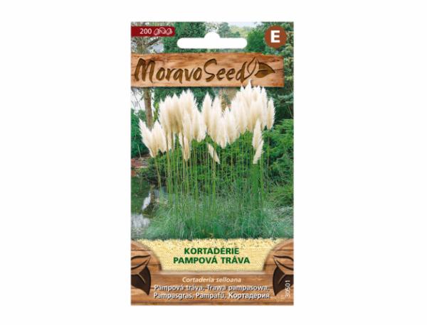 Cortaderia selloana 0,05 g (200 semien)