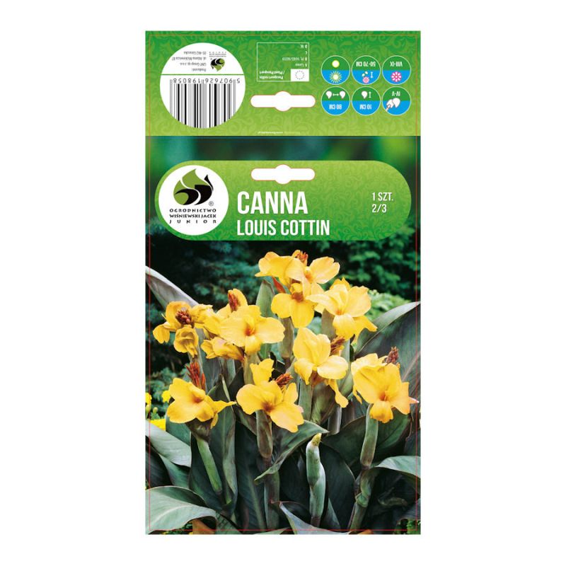 Canna Louis Cottin/1 ks