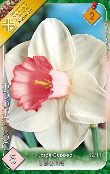Narcissus Large Cupped Salome/5 ks