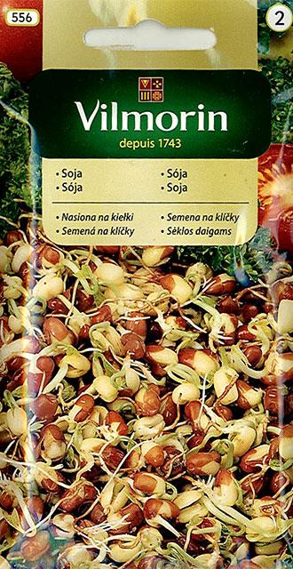 Sója - semená na klíčky 20 g
