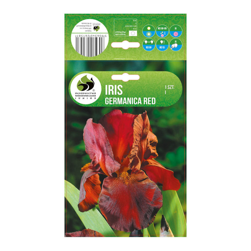 Iris germanica RED