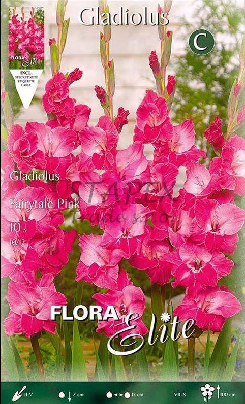 Gladiolus Fairytale Pink/10 ks