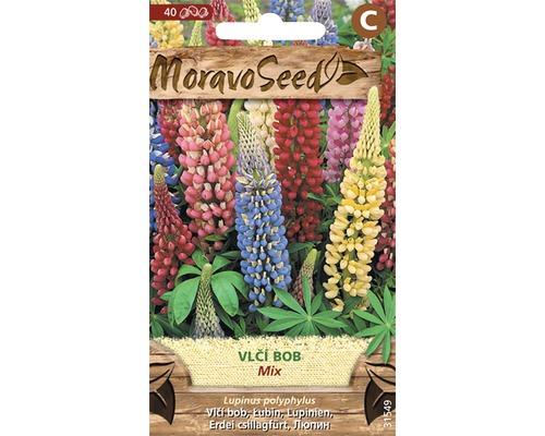 Lupina - Vlčí bob MIX 1,5 g (40 semien)
